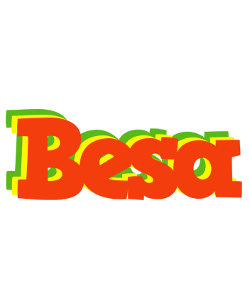 Besa bbq logo