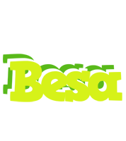 Besa citrus logo