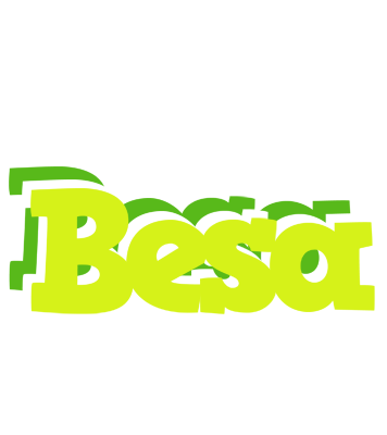 Besa citrus logo