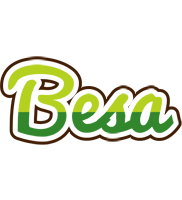 Besa golfing logo