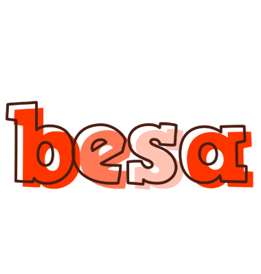 Besa paint logo