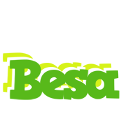 Besa picnic logo