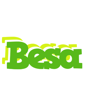 Besa picnic logo