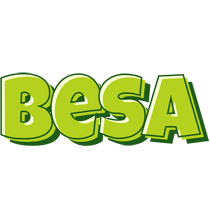 Besa summer logo