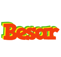 Besar bbq logo