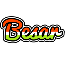 Besar exotic logo