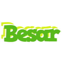 Besar picnic logo