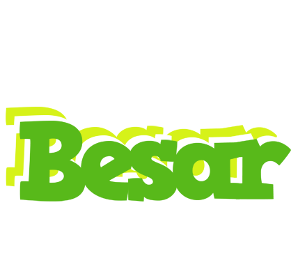 Besar picnic logo