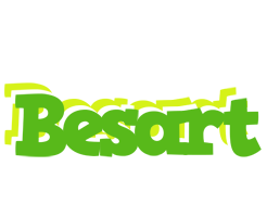 Besart picnic logo