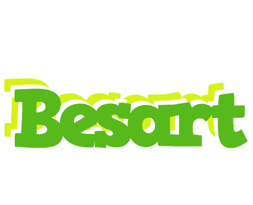 Besart picnic logo