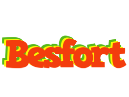 Besfort bbq logo