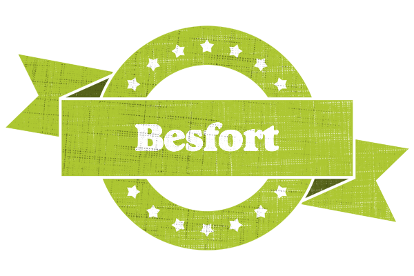 Besfort change logo