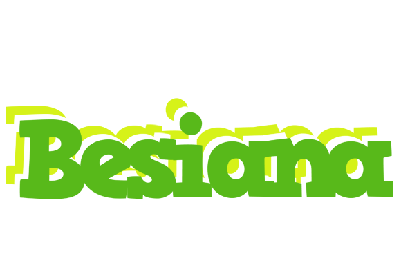 Besiana picnic logo