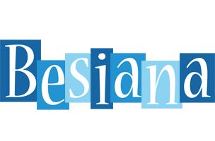 Besiana winter logo