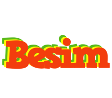 Besim bbq logo