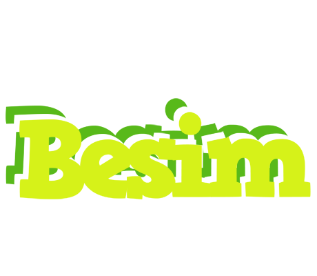 Besim citrus logo