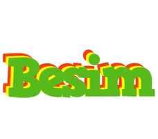 Besim crocodile logo