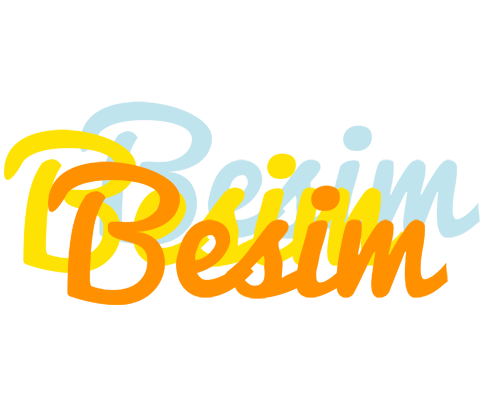 Besim energy logo