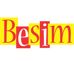 Besim errors logo