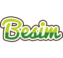 Besim golfing logo