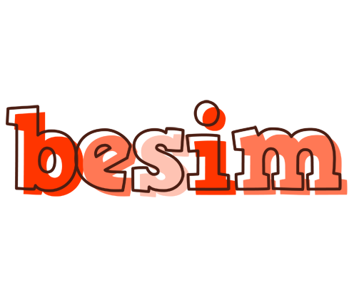 Besim paint logo