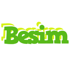 Besim picnic logo