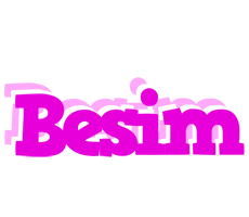 Besim rumba logo