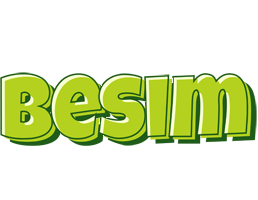 Besim summer logo