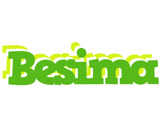 Besima picnic logo