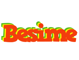 Besime bbq logo