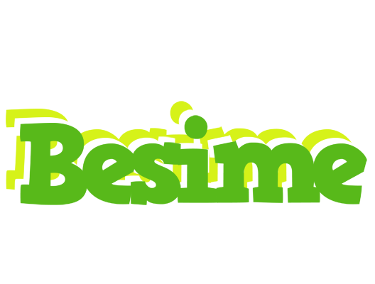 Besime picnic logo