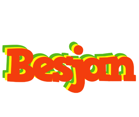 Besjan bbq logo