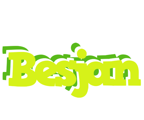 Besjan citrus logo