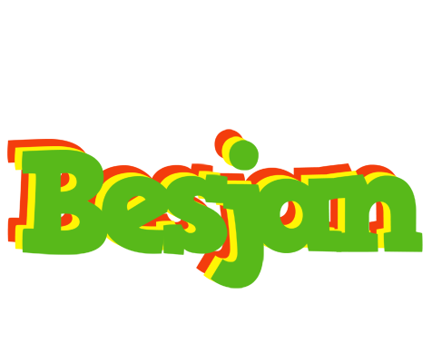 Besjan crocodile logo