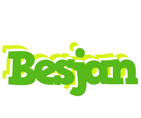 Besjan picnic logo