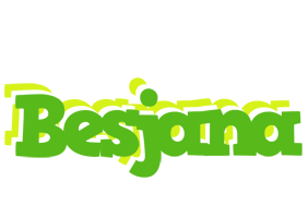 Besjana picnic logo