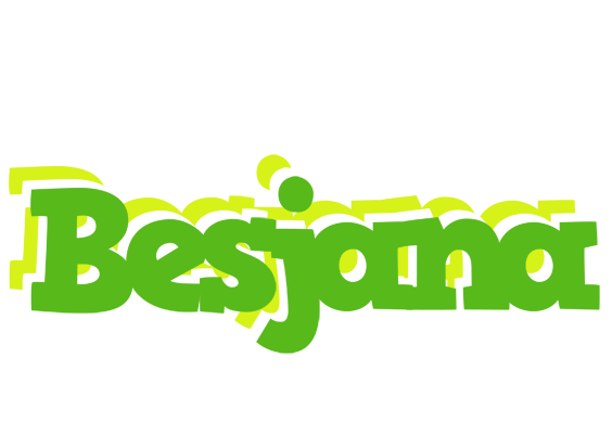 Besjana picnic logo