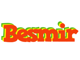 Besmir bbq logo