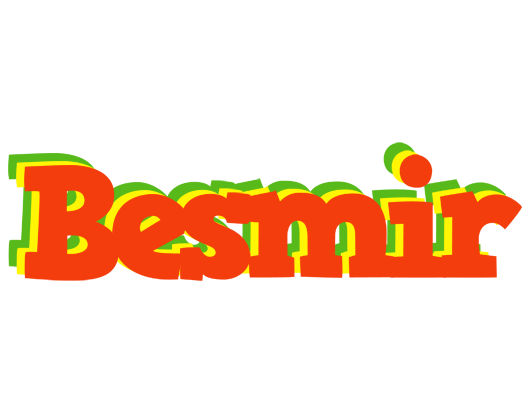 Besmir bbq logo
