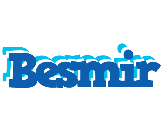 Besmir business logo