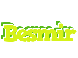 Besmir citrus logo