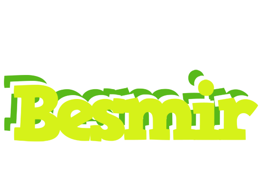 Besmir citrus logo