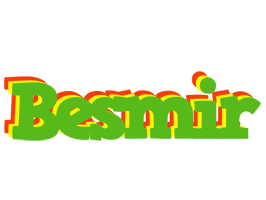 Besmir crocodile logo