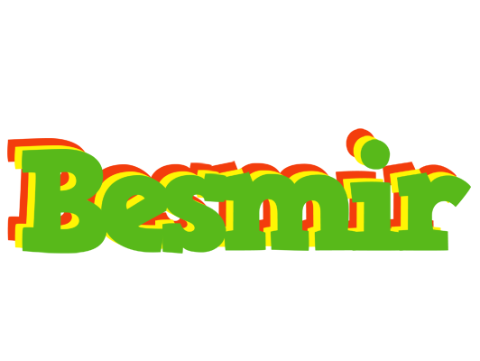 Besmir crocodile logo