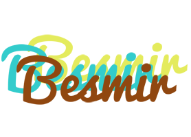 Besmir cupcake logo