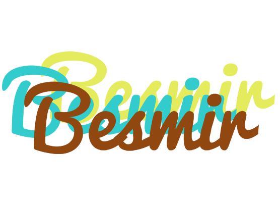 Besmir cupcake logo
