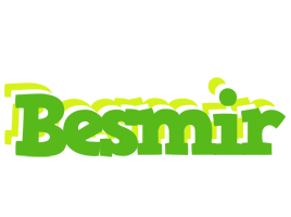 Besmir picnic logo