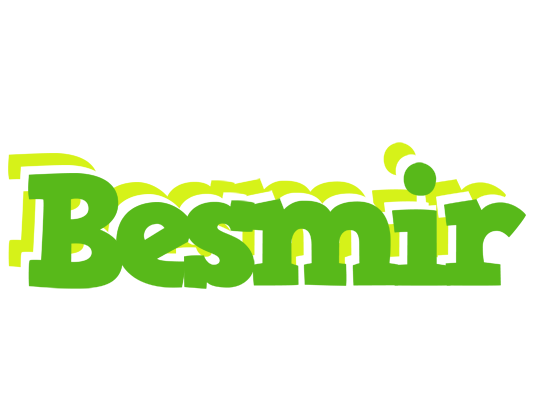 Besmir picnic logo