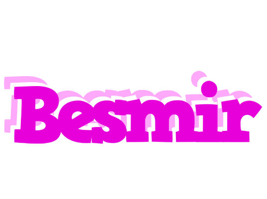 Besmir rumba logo