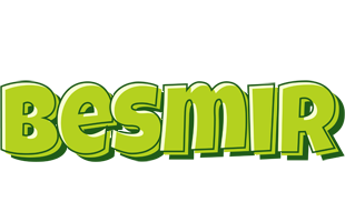 Besmir summer logo